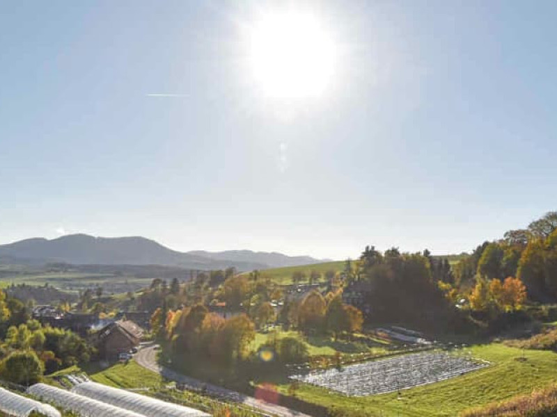 Senioren-Wandertag 2025